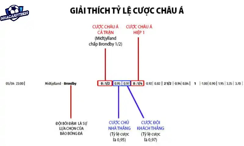 Cách đọc kèo chấp 1/2 vô cùng đơn giản