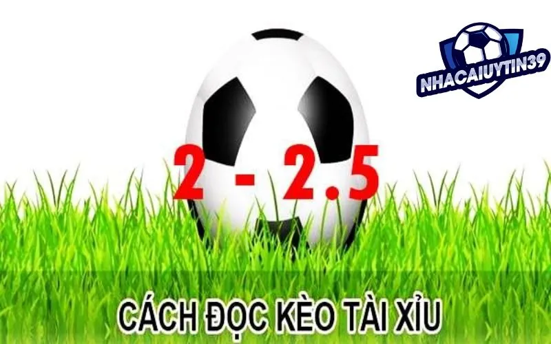 Tìm hiểu cách đọc kèo tài xỉu O/U 2-2.5